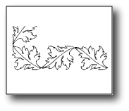 MS02 Burning Bush - 4.5" Border