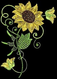Hatched in Africa - Just Sunflowers