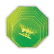 Springfield Fibre Optic Octagon Template Set - Large