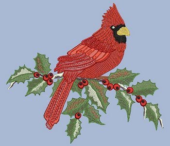 Hatched in Africa - The Cardinal