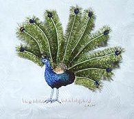 Perry the Peacock