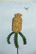 Banksia and the Bug