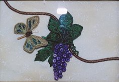 Butterfly in the Vineyard