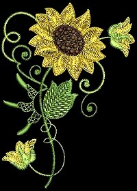 Hatched in Africa - Just Sunflowers