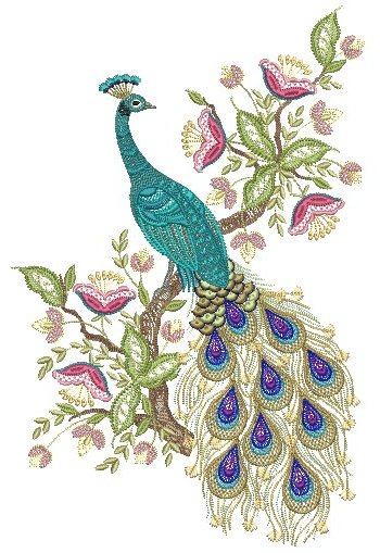 Hatched in Africa - Jacobean Jewels Peacock 5” x 7” by Santi	