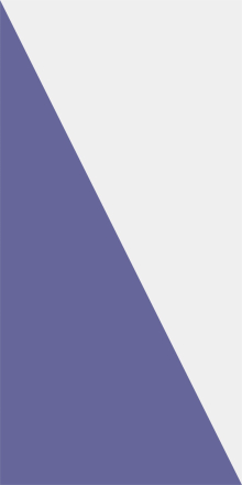 Bloc Loc Half Rectangle Triangle Ruler 2.5” x 4.5”