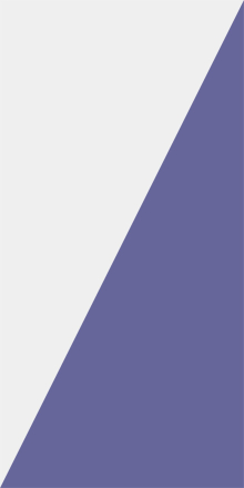 Bloc Loc Half Rectangle Triangle Ruler 2.5” x 4.5”