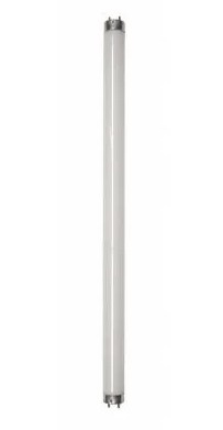 Daylight 8w Tube