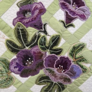 Toowoon Bay Morning Glories Special Edition - Jenny Haskins