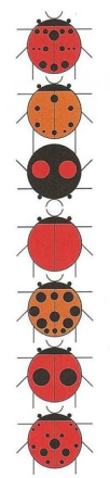 A Ladybug Sampler Wall Hanging Pattern by Keri Duke