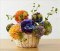 Flower Frill Templates - Large and Extra Large by Clover