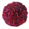 Flower Frill Templates - Large and Extra Large by Clover