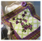Toowoon Bay Morning Glories Special Edition - Jenny Haskins