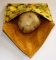 Wrap-N-Zap ™ 100% Natural Cotton Batting by Pellon ®
