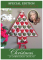 Little Christmas Advent Calendar by Jenny Haskins Designs
