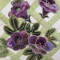 Toowoon Bay Morning Glories Special Edition - Jenny Haskins