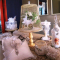 Clever & Crafty - Trash 2 Treasure by Jenny Haskins Designs