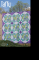 Taffy Quilt Pattern - Jaybird Quilts