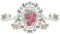 Hatched in Africa - Vintage Heirloom Borders