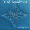 DM Quilting - Triad Teardrop Templates