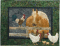 Storybook Farm - Block Five - Neigh-bors
